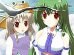  hat kochiya_sanae kokage_(next_nest) moriya_suwako multiple_girls touhou 