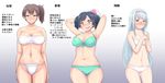  ball beachball bifidus bikini black_hair blush breasts brown_eyes brown_hair expressionless fundoshi hairband japanese_clothes kaga_(kantai_collection) kantai_collection large_breasts long_hair midriff multiple_girls navel sarashi short_hair shoukaku_(kantai_collection) side_ponytail silver_hair small_breasts souryuu_(kantai_collection) swimsuit translated twintails 