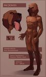  abs anthro balls biceps black_nose bloodhound brown_fur claws cyancapsule english_text fangs flaccid frown fur humanoid_penis looking_at_viewer male model_sheet muscles navel nipples nude open_mouth orange_eyes pawpads paws pecs penis pose presenting sheath solo standing teeth text toe_claws toned tongue tongue_out uncut vein 