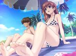  1girl amamiya_momona arm_support barefoot beach beach_umbrella bikini blue_eyes breasts brown_hair cleavage cloud day feet foreshortening game_cg hair_over_eyes happoubi_jin ichijo_daisuke long_hair medium_breasts open_mouth outdoors palm_tree polka_dot polka_dot_bikini polka_dot_swimsuit pov_feet resort_boin short_hair side-by-side side-tie_bikini sideboob sitting sky soles strap_gap swimsuit toes tree umbrella underboob 