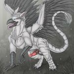  anthro avian balls beak black_feathers blue_eyes ceylon cum cum_string erection feathers feral gryphon knot leaking male nude open_mouth penis precum runa runa216 solo tongue tongue_out wemd white_feathers 