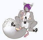  anus balls black_penis canine chris_(teckly) claws collar digitigrade erection fluffy_tail fsmaverick hair hindpaw leash licking looking_at_viewer male mammal masturbation nude pawpads paws penis plain_background purple_hair red_eyes sitting soles solo spread_legs spreading toes tongue tongue_out white_background wolf 