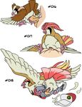  avian balls bestiality bird brown_feathers clothed clothing cowgirl_position duo female female_on_top feral flying from_behind hat human interspecies josemalvado male mammal nintendo on_top penetration pidgeot pidgeotto pidgey plain_background pok&#233;mon pok&#233;philia pok&eacute;mon pok&eacute;philia pussy sex size_difference straddling straight text vaginal vaginal_penetration video_games white_background white_feathers 