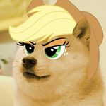  blonde_hair canine dog doge equine friendship_is_magic hair hat horse mammal meme my_little_pony pony 