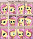  chart emotion equine fluttershy_(mlp) friendship_is_magic frown horse mammal my_little_pony pegasus pony smile solar-slash wings 