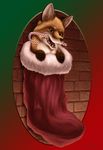  ambiguous_gender candy_cane canine christmas feral fox holidays legwear mammal solo stockings taurin_fox 