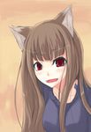  animal_ears brown_hair holo long_hair rage_(rojiura) red_eyes solo spice_and_wolf wolf_ears 