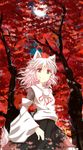  animal_ears bad_id bad_pixiv_id detached_sleeves hat highres inubashiri_momiji leaf moon nejime night short_hair silver_hair solo tail tokin_hat touhou wolf_ears 