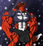  anthro balls biceps big_balls big_penis black_nose bulge canine clothing cum fur hair hyper hyper_balls hyper_penis long_hair looking_at_viewer mammal muscles orange_hair pecs penis purple_eyes red_fur shirt shorts smile torn_clothing torn_shirt vein wolf zeusralo 