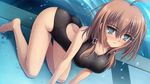  1girl bare_shoulders barefoot blue_eyes breasts brown_hair feet game_cg highres kayleigh_glanzelius kneeling large_breasts legs looking_at_viewer norita otome_wa_boku_ni_koishiteru:_futari_no_elder pool short_hair smile swimsuit thighs toes twintails water wet 