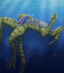  anthro anus claws diving dragon erection horn looking_at_viewer male nude penis precum scalie solo stripes tenecayr_(artist) underwater water 