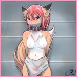  blue_eyes blue_hair blush breasts canine chest_tuft collar female fox fur hair katoa_shippo looking_at_viewer mammal nipples plain_background red_hair short_hair slave slavery small_breasts solo standing tuft white_background 