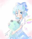  blue_dress blue_eyes blue_hair cirno dress frog holding ice ice_wings looking_at_viewer ogu puffy_short_sleeves puffy_sleeves short_sleeves simple_background solo stuffed_animal stuffed_frog stuffed_toy touhou white_background wings 