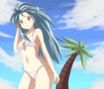  bad_id bad_pixiv_id bikini blue_hair cloud copyright_request day front-tie_top hand_in_hair long_hair navel palm_tree red_eyes side-tie_bikini sky solo swimsuit torotsukii tree white_bikini 