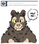  bear english_text fluffy looking_at_viewer male mammal sloth_bear text thought_bubble tumblr willy_(artdecade) 
