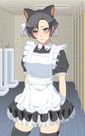  1boy androgynous animal_ears apron artist_request bathroom black_legwear blush boys_musume. brown_eyes cat_ears crossdressing dress fake_animal_ears frilled_dress frills kyousei_josou!!_hamedori_rape!! maid maid_apron male male_focus nekomimi short_hair solo thighhighs tile_floor tiles trap 