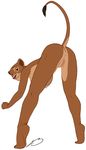  anthrofied anus big_breasts breasts butt disney feline female kula lion looking_at_viewer mammal mooning nude plain_background presenting presenting_hindquarters pussy raised_tail solo steven_stagg the_lion_king white_background 