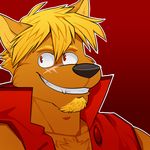  beard black_nose blonde_hair canine chest_tuft facial_hair fur hair jaryl_(character) male mammal solo tuft vasuki wolf 