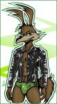  abs anthro brown_fur bulge canine chest_tuft claws clothing coyote fred_e_coyote fred_e_coyote_(character) fur hair jacket kcee leather leather_jacket looking_at_viewer loonatics_unleashed male mammal muscles open_shirt pose shirt solo speedo standing swimsuit toned tuft 