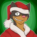  cat christmas eyewear feline fur glasses green_eyes hat holidays male mammal one_eye_closed pink_nose solo vasuki 