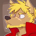  beard blonde_hair canine facial_hair fur hair jaryl_(character) male mammal red_eyes solo vasuki wolf 