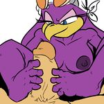  anthro avian bandanna beak bird blue_eyes breasts duo erection eyewear faceless_male female first_person_view foot_fetish footjob hindpaw human human_on_anthro humanoid_penis interspecies male mammal nipples nude paws penis plain_background plantigrade purple_body saltcore sega sex sonic_(series) sonic_riders straight sunglasses swallow_(bird) toes wave_the_swallow white_background 