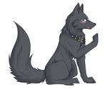  ambiguous_gender blue_eyes blush canine collar feral fur grey_fur mammal open_mouth plain_background raised_paw sitting studded_collar tragedy-wolf white_background wolf 