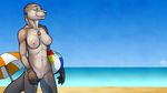  beach beach_ball blue_eyes breasts brown_fur female fur mammal mustelid necklace nipples nude otter outside pussy sea seaside sky solo standing tsaiwolf umbrella water whiskers widescreen 