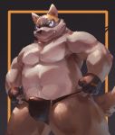  2017 anthro belly brown_fur bulge canine clothing dog fur gloves humanoid_hands lindong luchador male mammal mask moobs simple_background solo wrestler 