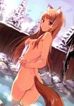  animal_ears ass back blush breasts brown_hair covering covering_breasts crease day from_behind grin highres holo kawakami_rokkaku long_hair looking_at_viewer nipples nude onsen open_mouth outdoors red_eyes revision scan small_breasts smile snow solo spice_and_wolf tail towel wading winter wolf_ears wolf_girl wolf_tail 