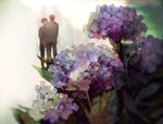  blurry doumeki_shizuka flower hydrangea iyumekai multiple_boys standing watanuki_kimihiro xxxholic 