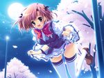  blush brown_hair cherry_blossoms hagiwara_tomoe highres izumi_tsubasu lyrical_lyric open_mouth petals school_uniform short_hair solo thighhighs 