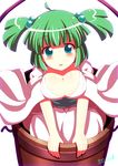  alternate_breast_size aura bad_id bad_pixiv_id banned_artist blue_eyes blush breasts bucket cleavage collarbone green_hair hair_bobbles hair_ornament in_bucket in_container japanese_clothes kimono kisaragi_zwei kisume large_breasts looking_at_viewer older revision sash solo touhou twintails v_arms wide_sleeves wooden_bucket yukata 