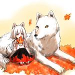  animal_ears inubashiri_momiji leaf maple_leaf red_eyes short_hair skirt solo tail tail_wagging touhou white_hair wolf wolf_ears younger zzzzzzzzzzzzzzp 