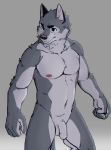  2019 5_fingers anthro athletic canid canine canis chest_tuft clenched_fists digital_media_(artwork) edit enokorogusa2 eyebrows flaccid fur grey_background grey_fur hi_res humanoid_penis male mammal navel nipples nude penis simple_background sketch solo standing tuft upscale wolf 