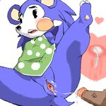  after_sex animal_crossing anthro anus blush bottomless cum cum_in_pussy cum_inside cum_string disembodied_penis duo female hedgehog internal looking_at_viewer mabel_able mable_able male mammal nintendo penis pussy saboten spread_legs spreading straight video_games 