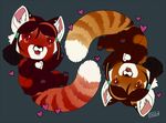  &lt;3 brown_hair cute female feral hair iggi mammal red_panda 