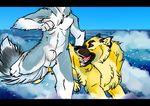 dog faceless_male feral fur husky male mammal nude otis patrikthedog running sea sheath standing water yellow_fur 