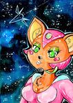  constellations fara_phoenix gloss kirbycutieslove76 nintendo sparkles star_fox stars universe video_games 