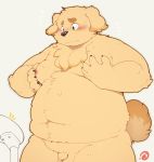  belly big_belly blush canine cusith dog flaccid foreskin groping_self hi_res male mammal moobs navel overweight penis quanjiang small_penis solo tokyo_afterschool_summoners video_games 