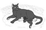  cat digitigrade domestic feline female feral giving_birth mammal mother nursing parent pregnant pussy reallynxgirl she-cat 