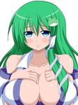  blue_eyes breast_suppress breasts cleavage green_hair huge_breasts kochiya_sanae snake solo touhou zefyu 