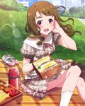  artist_request blanket brown_hair dress eyebrows food idolmaster idolmaster_million_live! jpeg_artifacts long_hair looking_at_viewer miyao_miya official_art park picnic picnic_basket plaid sandwich shoes sparkle thermos 