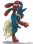  2013 3_toes anthro balls barefoot butt canine erection fur half-closed_eyes jackal long_ears looking_at_viewer lucario male mega_evolution mega_lucario nintendo nude pawpads paws penis plain_background pok&eacute;mon presenting raised_arm raised_leg shadow sharp_teeth solo spikes spread_legs spreading standing teeth unknown_artist video_games white_background 