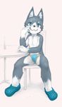  anthro big_eyes black_nose briefs bulge canine crocs fur grin kemoisumi kemono leaning looking_at_viewer male mammal pixiv plain_background shoes sitting solo teeth underwear white_background young 
