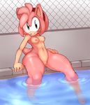  5_fingers 5_toes amy_rose anthro barefoot big_butt blush breasts butt eyelashes female fur green_eyes happy hedgehog hi_res looking_at_viewer navel nipples nude pool public pussy sega shadow shiny sitting smile solo sonic_(series) sonicboom53 toes video_games water wet wide_hips yuurikin 