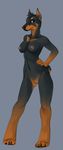  anthro breasts canine claws demicoeur digitigrade doberman dog female hand_on_hip hindpaw looking_at_viewer mammal nipples nude paws plain_background pussy red_eyes solo standing toes 