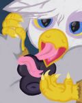  avian balls beak bedroom_eyes blue_eyes claws dusty_claws equine feathers feral friendship_is_magic gay gryphon horse ink_weaver interspecies jaundice licking male mammal my_little_pony open_mouth oral original_character pony talons tongue tongue_out vodkaroo 