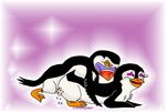  female penguin puffin sheila sheila_(pom) the_penguins_of_madagascar 