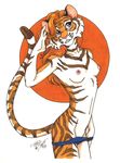  absurd_res anthro breasts feline female hi_res mammal nipples nude pinup plain_background pose solo terrie_smith tiger undressing white_background 